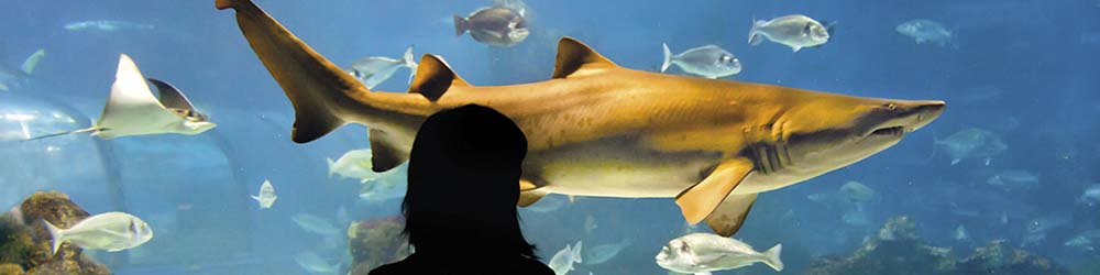 Aquarium Barcelona Aquarium Barcelona