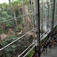 CosmoCaixa Barcelona besuchen CosmoCaixa Barcelona